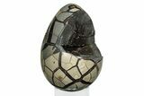 Septarian Dragon Egg Geode - Black Crystals #246062-1